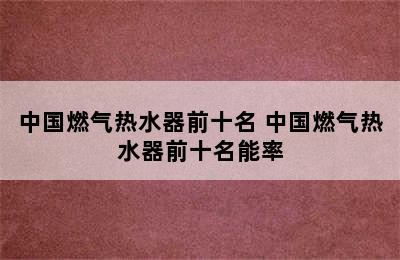 中国燃气热水器前十名 中国燃气热水器前十名能率